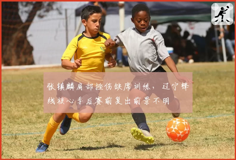 张镇麟肩部挫伤缺席训练,辽宁锋线核心季后赛前复出前景不明