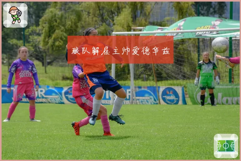 狼队解雇主帅爱德华兹