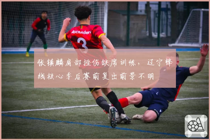 张镇麟肩部挫伤缺席训练,辽宁锋线核心季后赛前复出前景不明